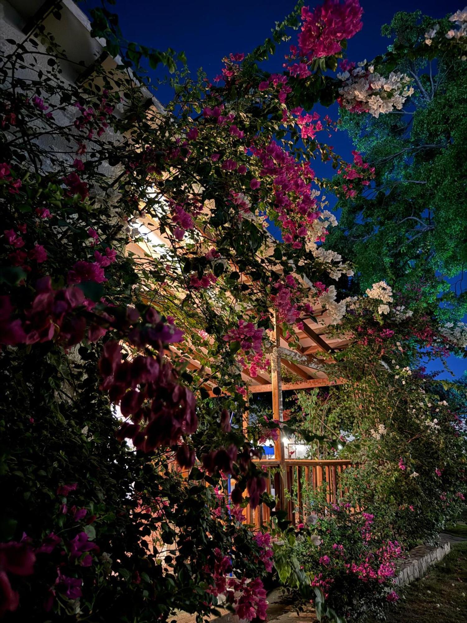 Hotel Jardin Boutique Rodadero Santa Marta Dış mekan fotoğraf