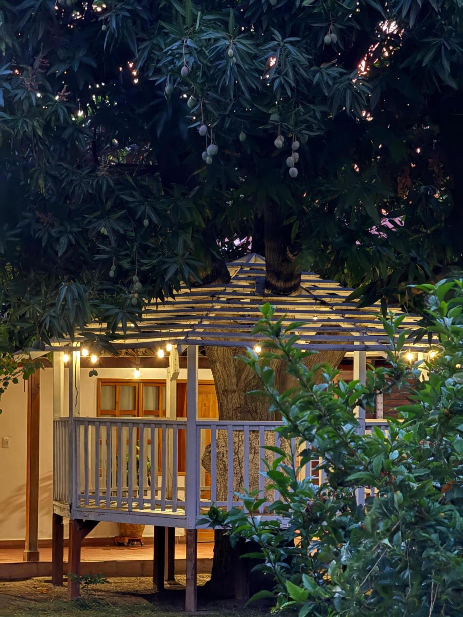 Hotel Jardin Boutique Rodadero Santa Marta Dış mekan fotoğraf