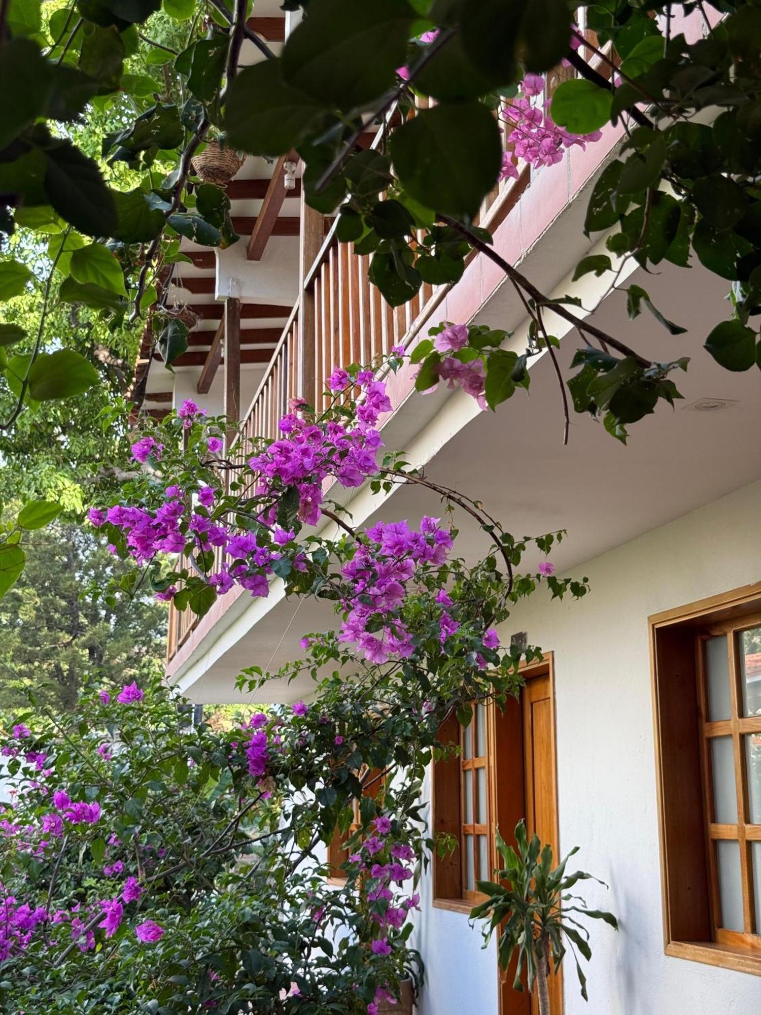 Hotel Jardin Boutique Rodadero Santa Marta Dış mekan fotoğraf